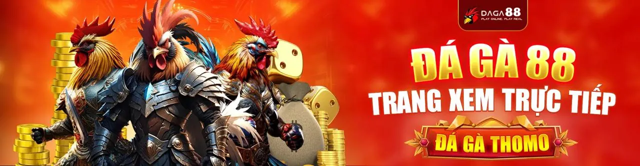 Chính sách Cookie của ibet88 win