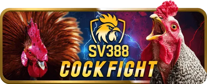 Hoàn trả tiền cược thể thao hàng tuần ibet88 win